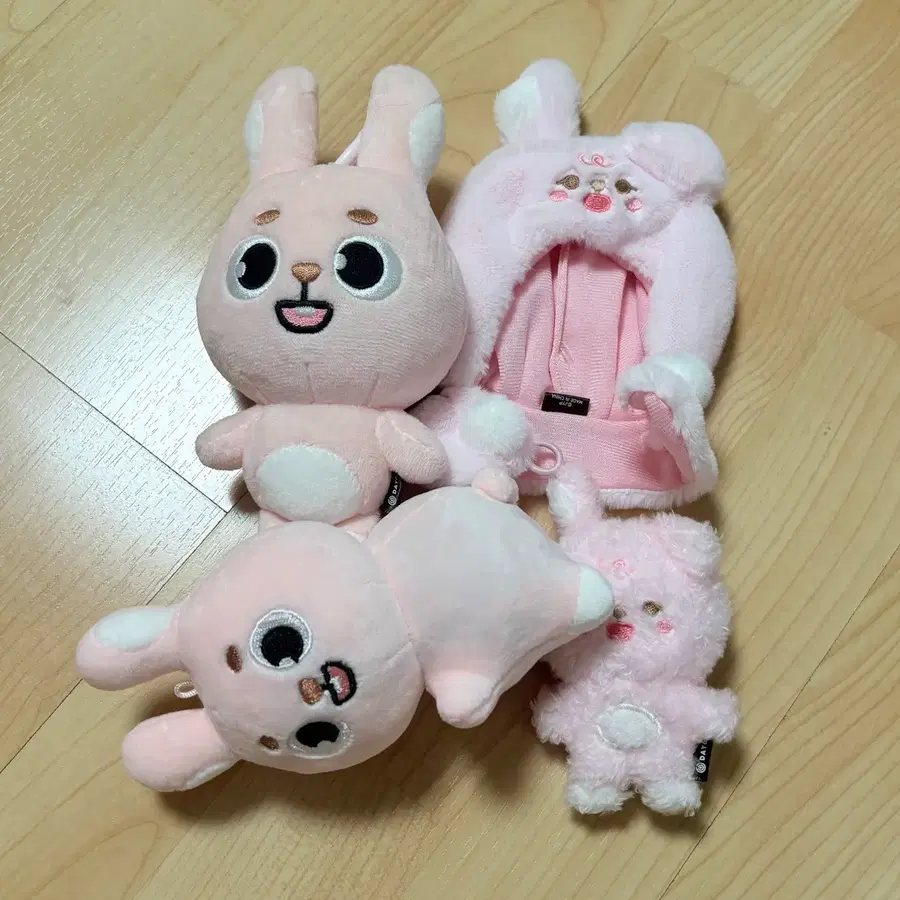 데이식스 원필 필끼 세트