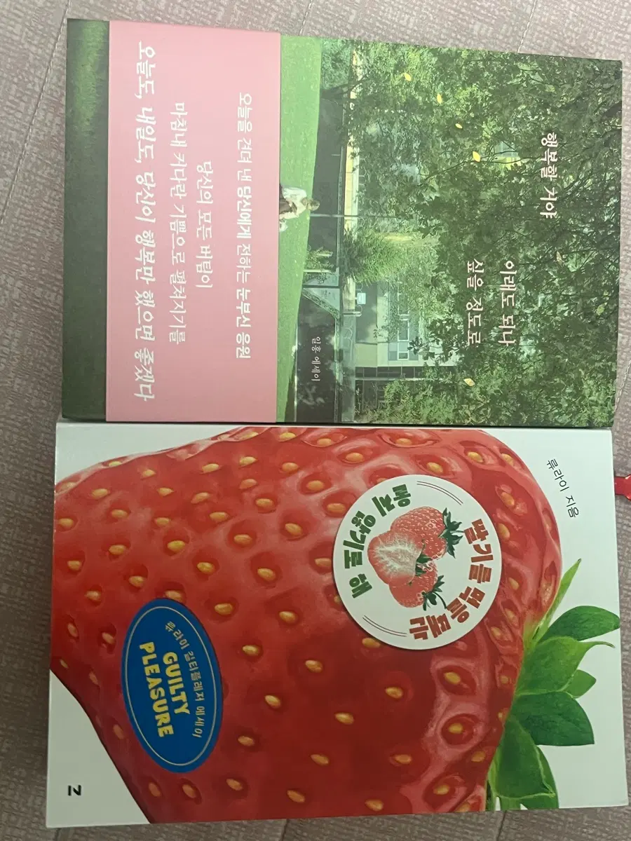 소설책 (설명 봐주세요)