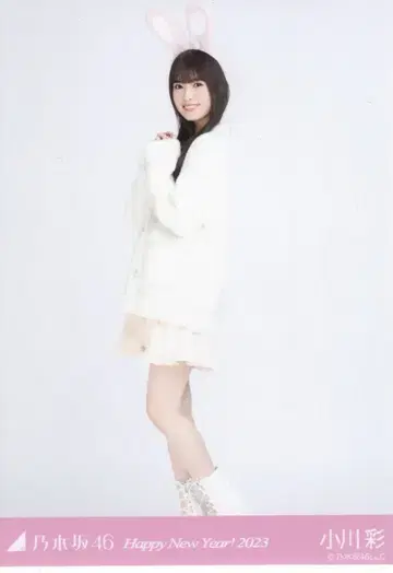 노기자카46 2023년 1월 랜덤 브로마이드 오가와 아야 Happy New Year! 2023 간지 토끼 히키