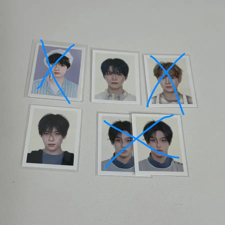 일괄 ) 엔시티위시 공식 증명사진 양도 유우시 시온 리쿠 재희