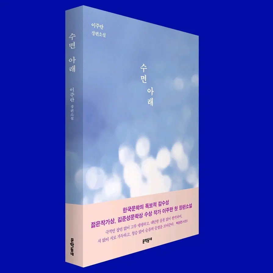 이주란 장편 소설 수면아래
