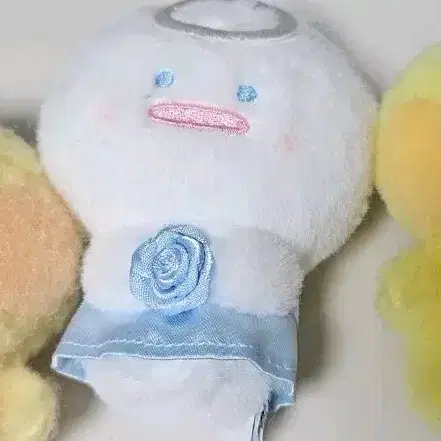 제베원 태래 태니니 양도