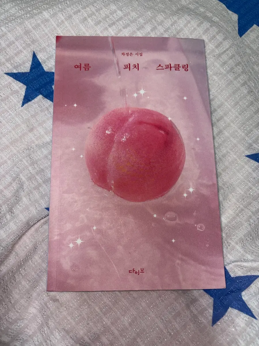 차정은 시집 / 여름 피치 스파클링