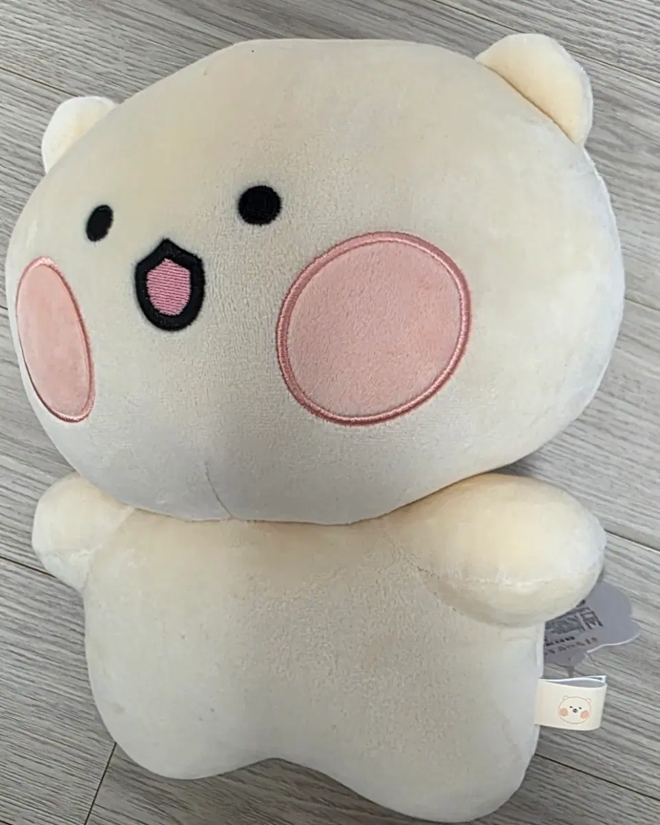 곰돌찡이랑 토끼찡 중형인형