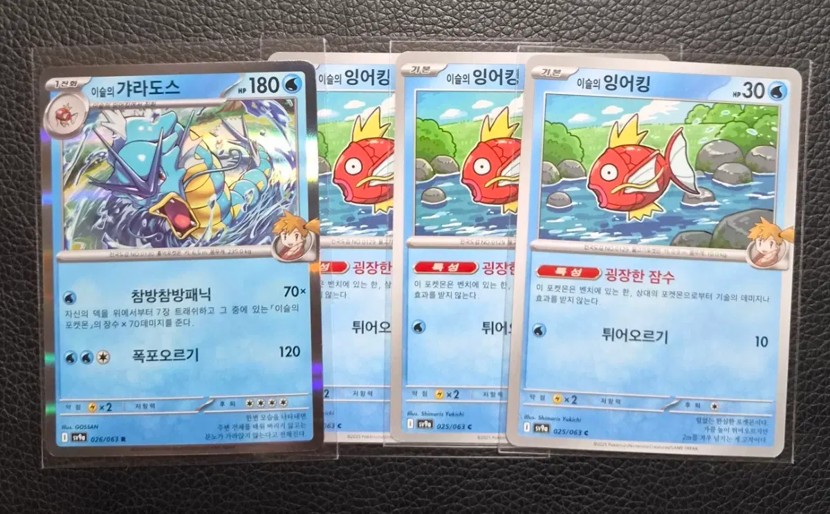 갸라도스 잉어킹 포켓몬 카드