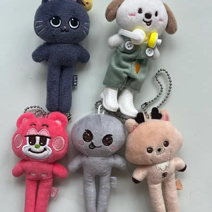 롱다리 라이즈 인형 일괄(6개 전멤)
