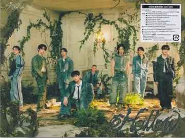 StrayKids 초회 한정판 A Hollow
