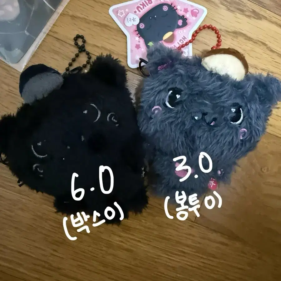 최저가))엔시티 위시 리쿠 위시돌 쿠리 양도