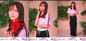 노기자카46 회장 한정 랜덤 브로마이드 스가와라 사츠키 한여름 전국 투어 2024 Special 컴프
