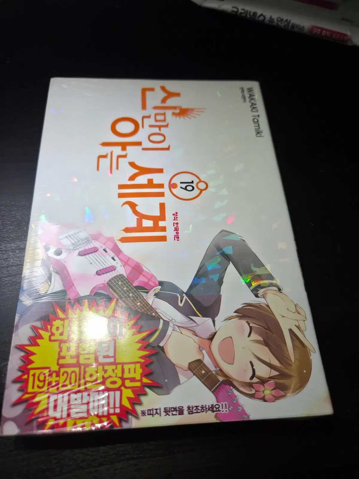 신만이 아는 세계 19