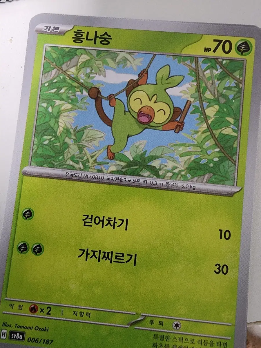 포켓몬카드 흥나숭 006