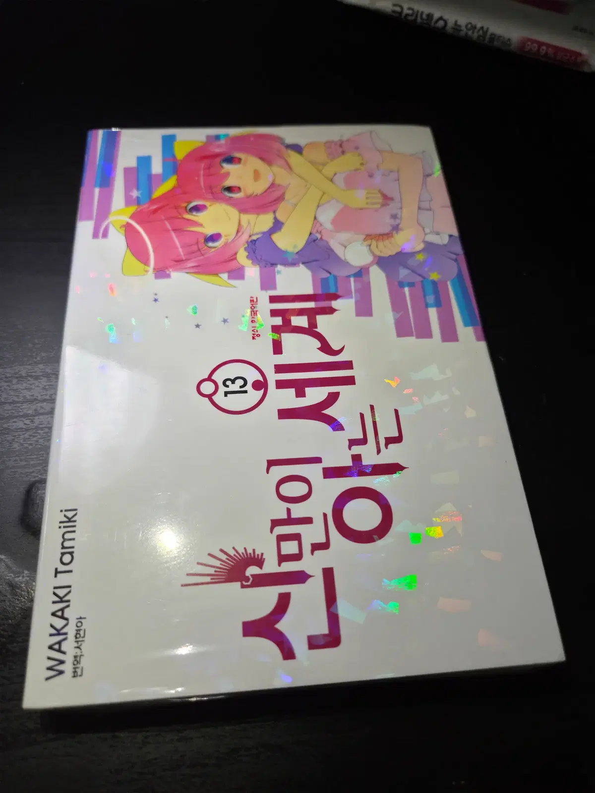 신만이 아는 세계 13