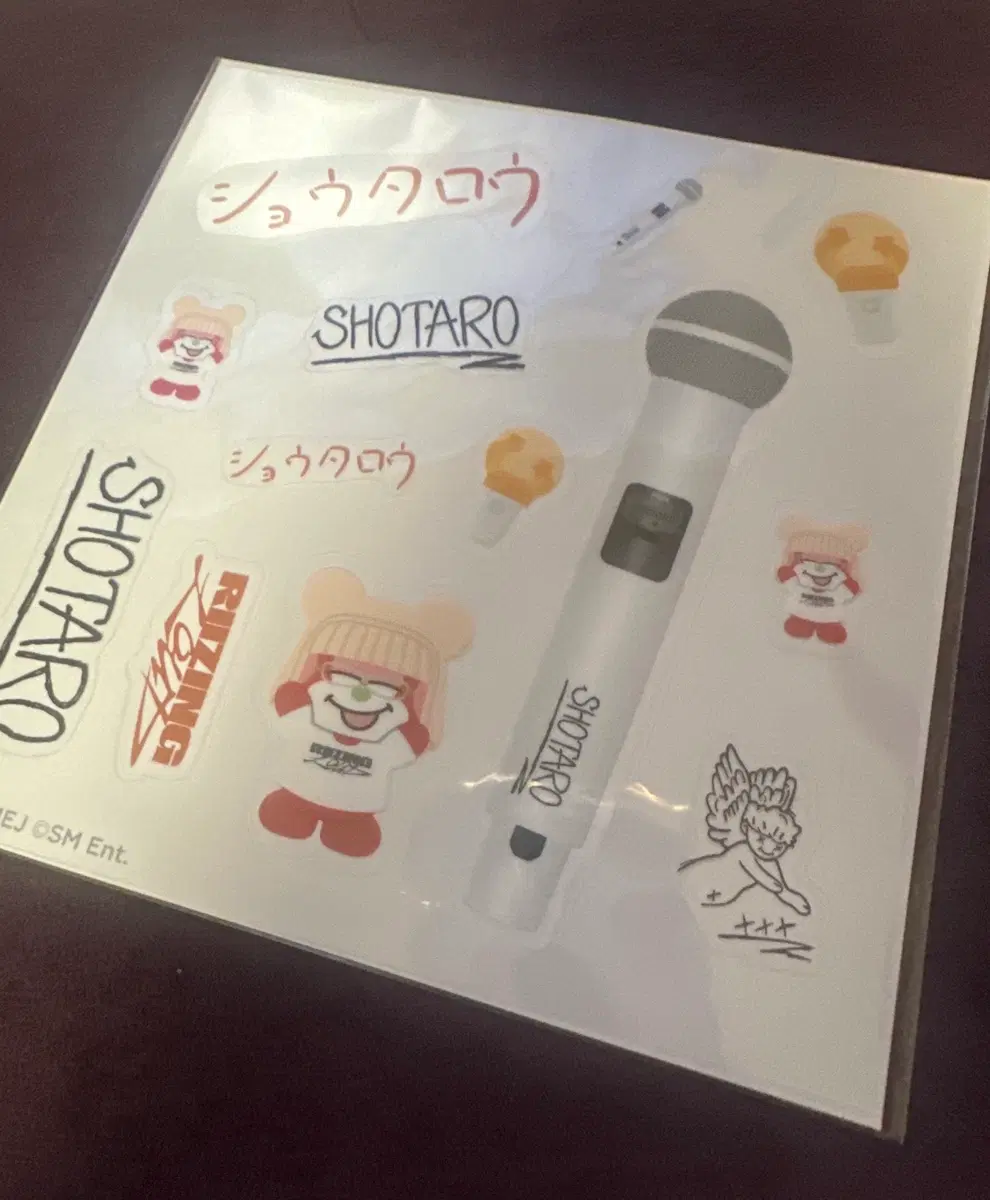 라이즈 쇼타로 스키커