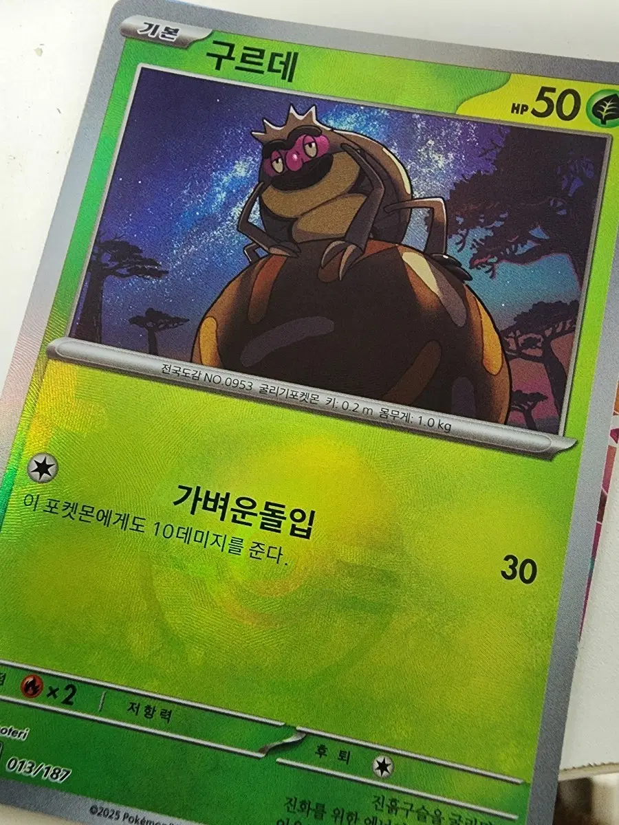 포캣몬카드 구르데