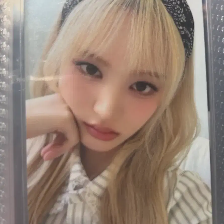 2025 시즌그리팅 리즈