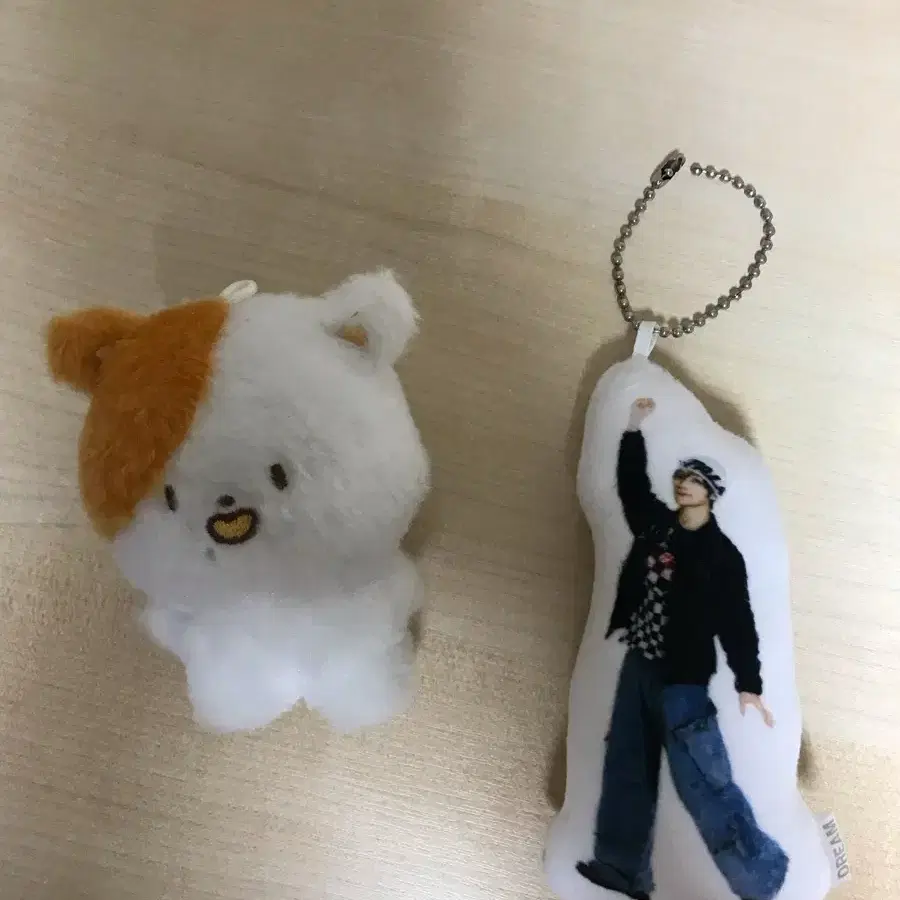 지성 인형