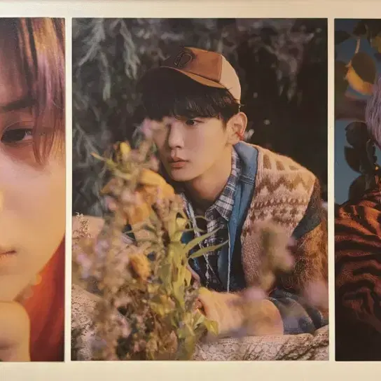 샤이니 앨범 구성품 (엽서, 포스터, 필름)