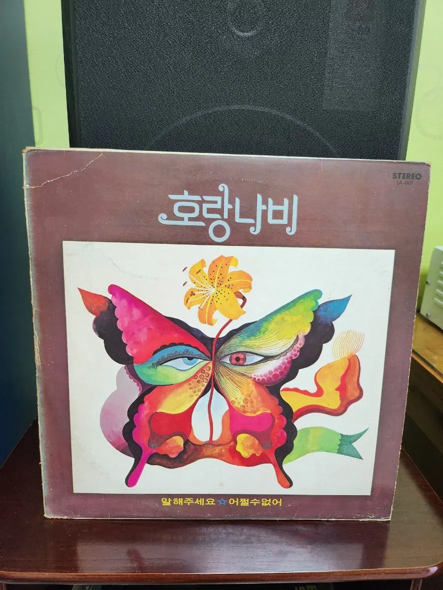 호랑나비 lp
