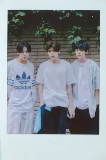 NCT WISH 랜덤 인스턴트 포토카드 시온/리쿠/유시 2025 THE 1ST 포토 전시회 ONE SUMMER WISH MD 인스턴트