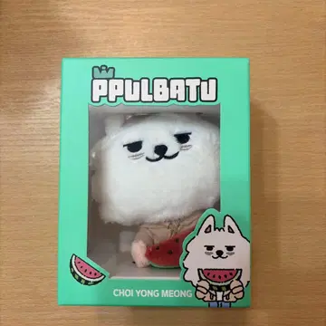 TXT 뿔바투 키링 수박 팬 영준