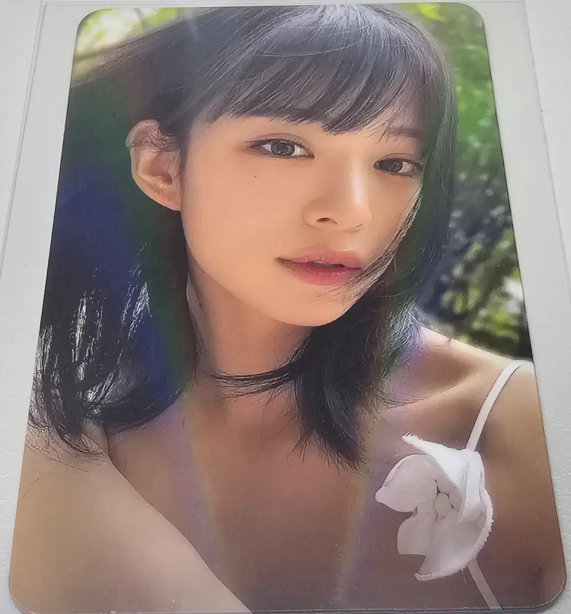 프로미스나인 프롬썸머 채영 포카