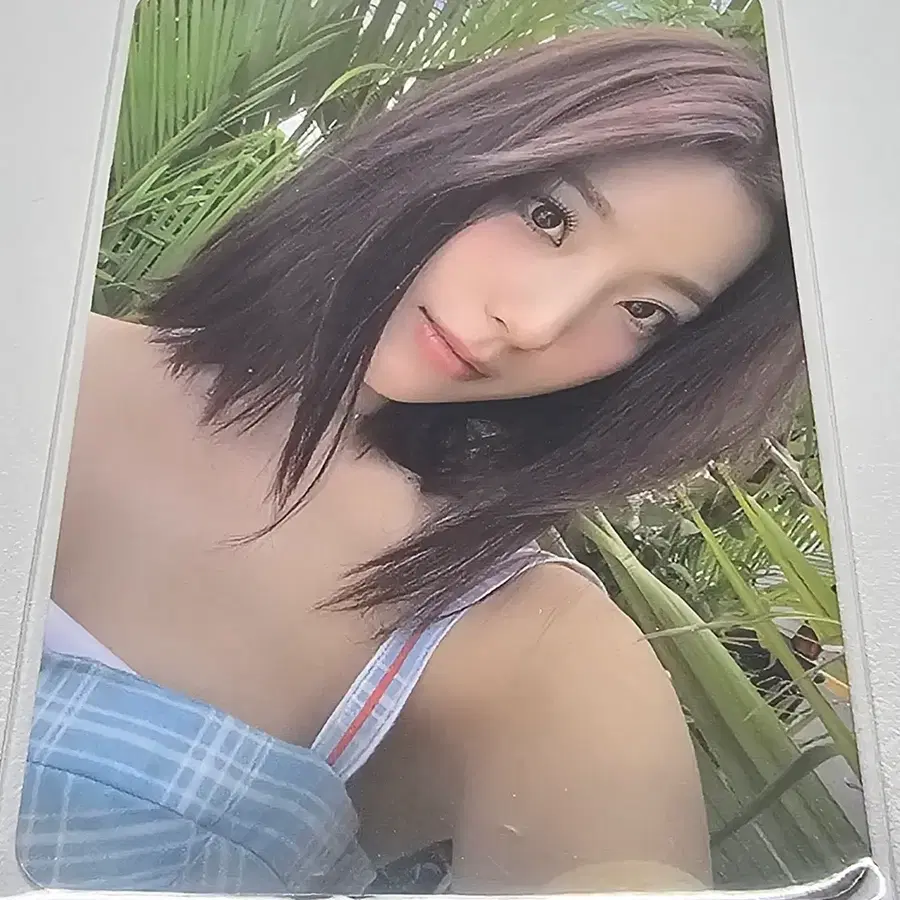 프로미스나인 스디웨 새롬 앨범 포카