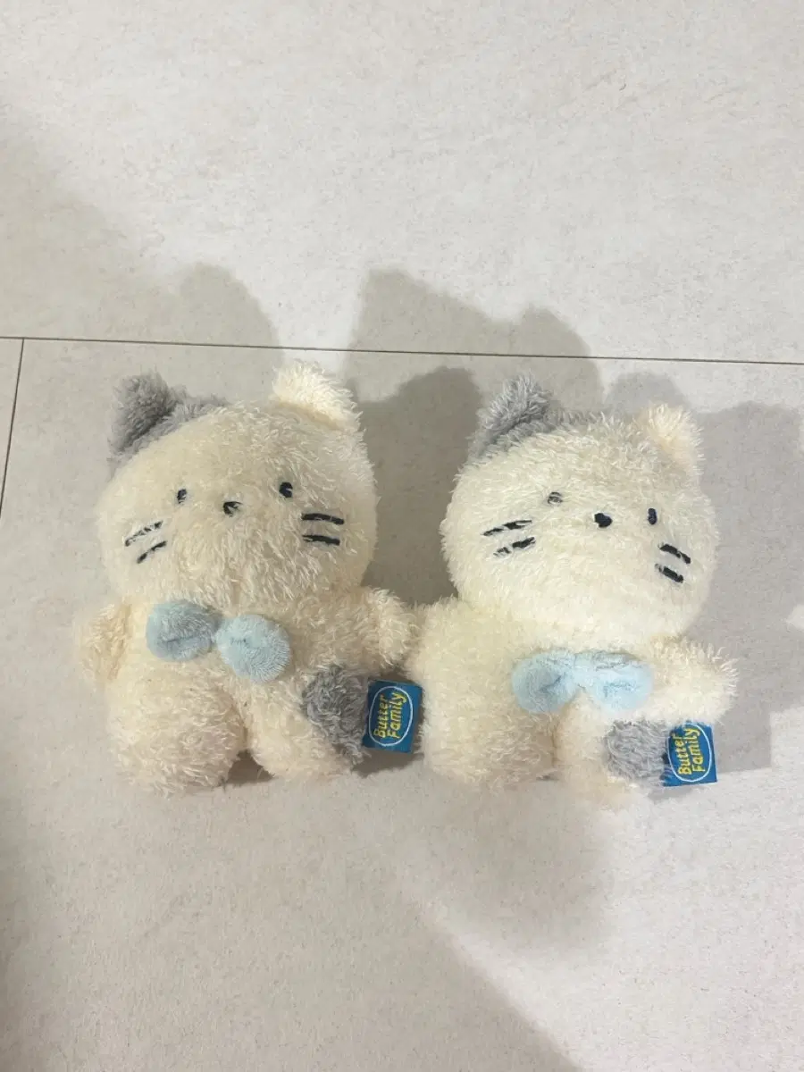 버터샵 고양이 인형 2개 세트 (커플템!!)