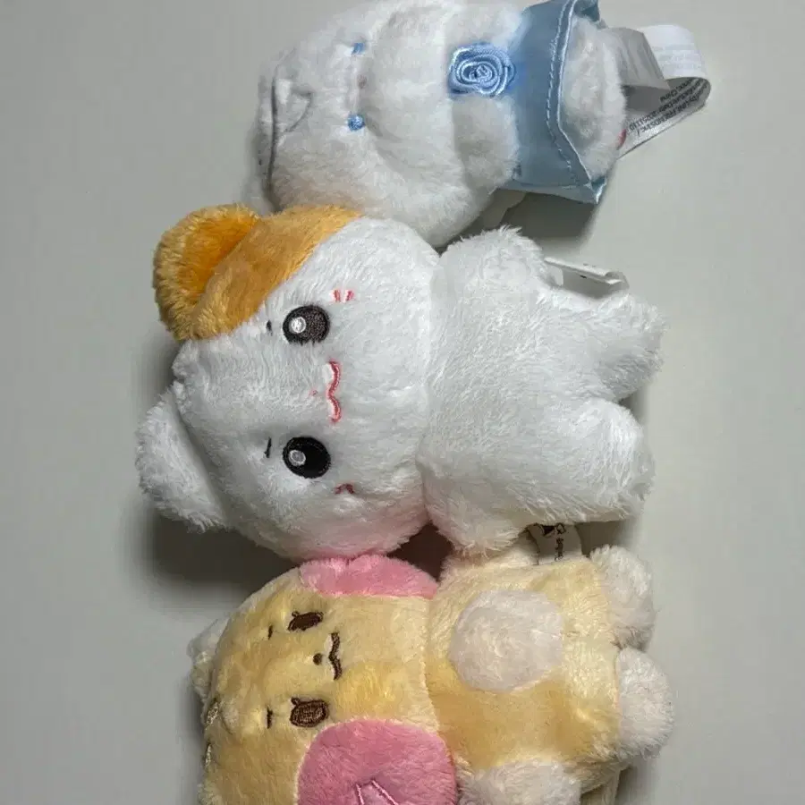 제베원 성한빈 인형 비니니 솜한빈 노른냥 천사 비공식 공식