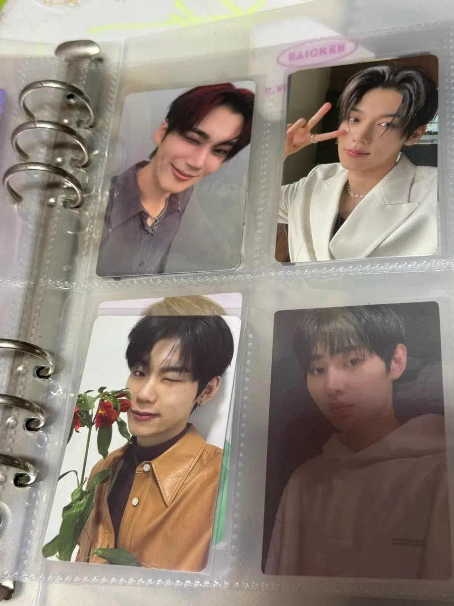 이븐포카 양도 evnne