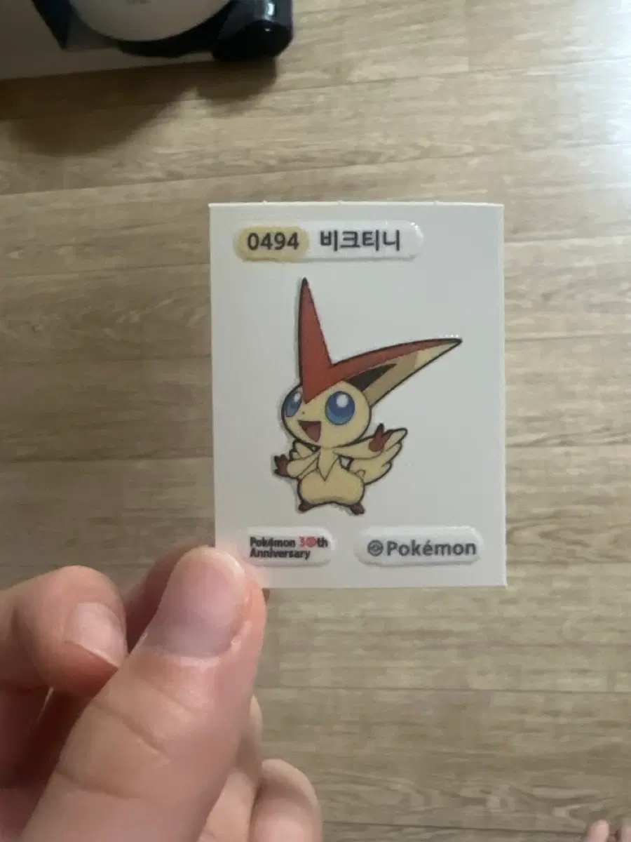 비크니티 띠부실