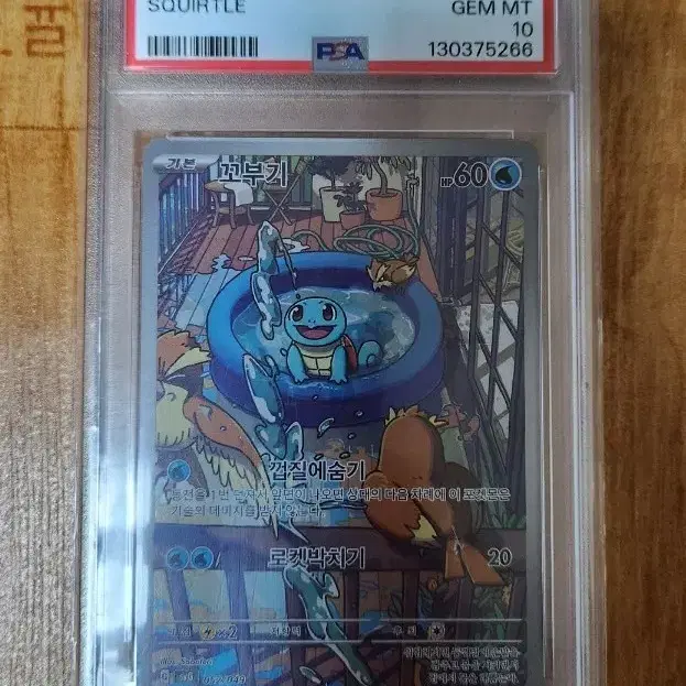 포켓몬 2023 포켓몬 카드 꼬부기 PSA 10