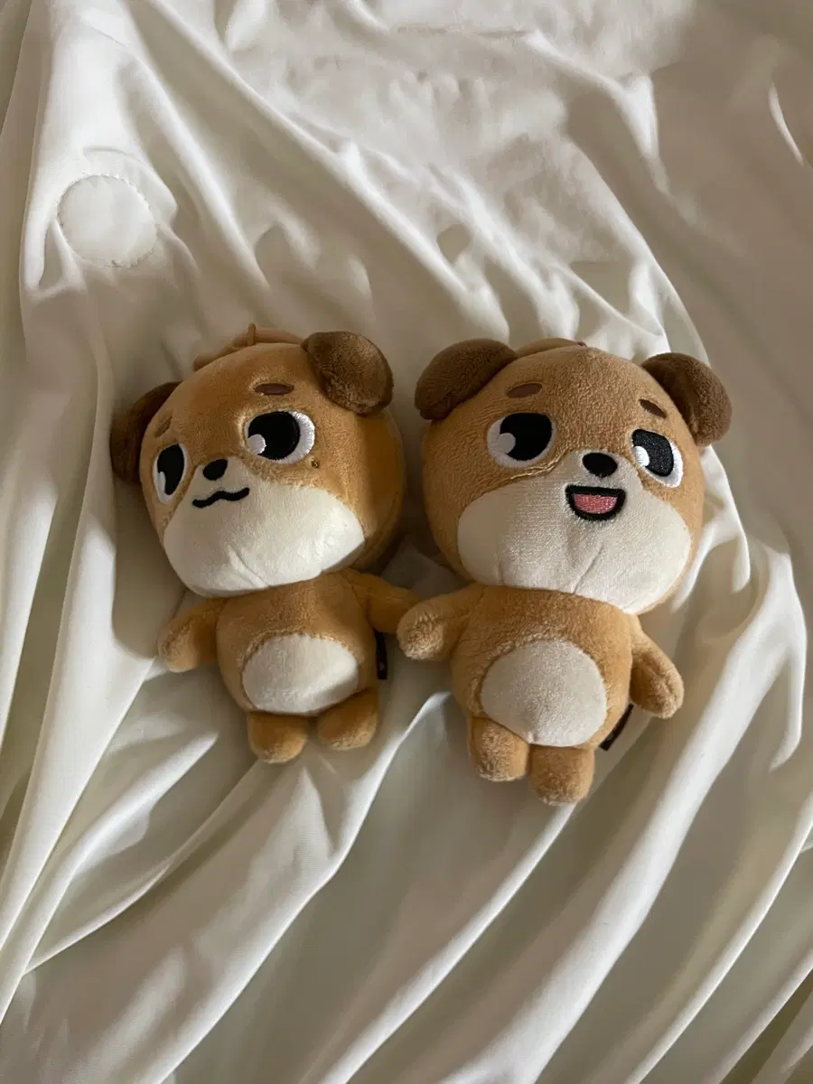 데이식스 데니멀즈