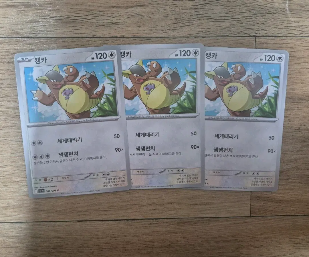 포켓몬카드 캥카 3장 일괄 세트
