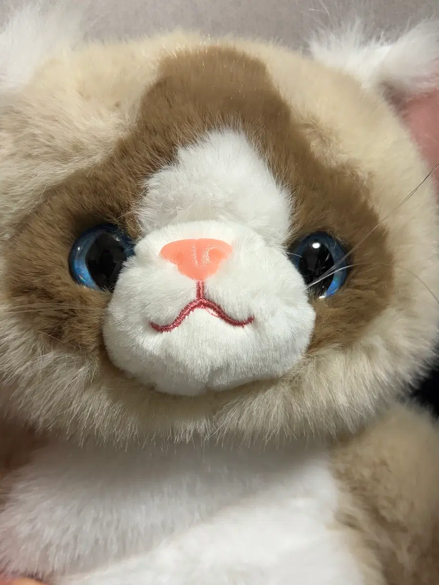 빌려온 고양이 인형 가방