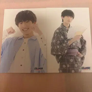 EBiDAN museum 2026 브로마이드 2장 세트