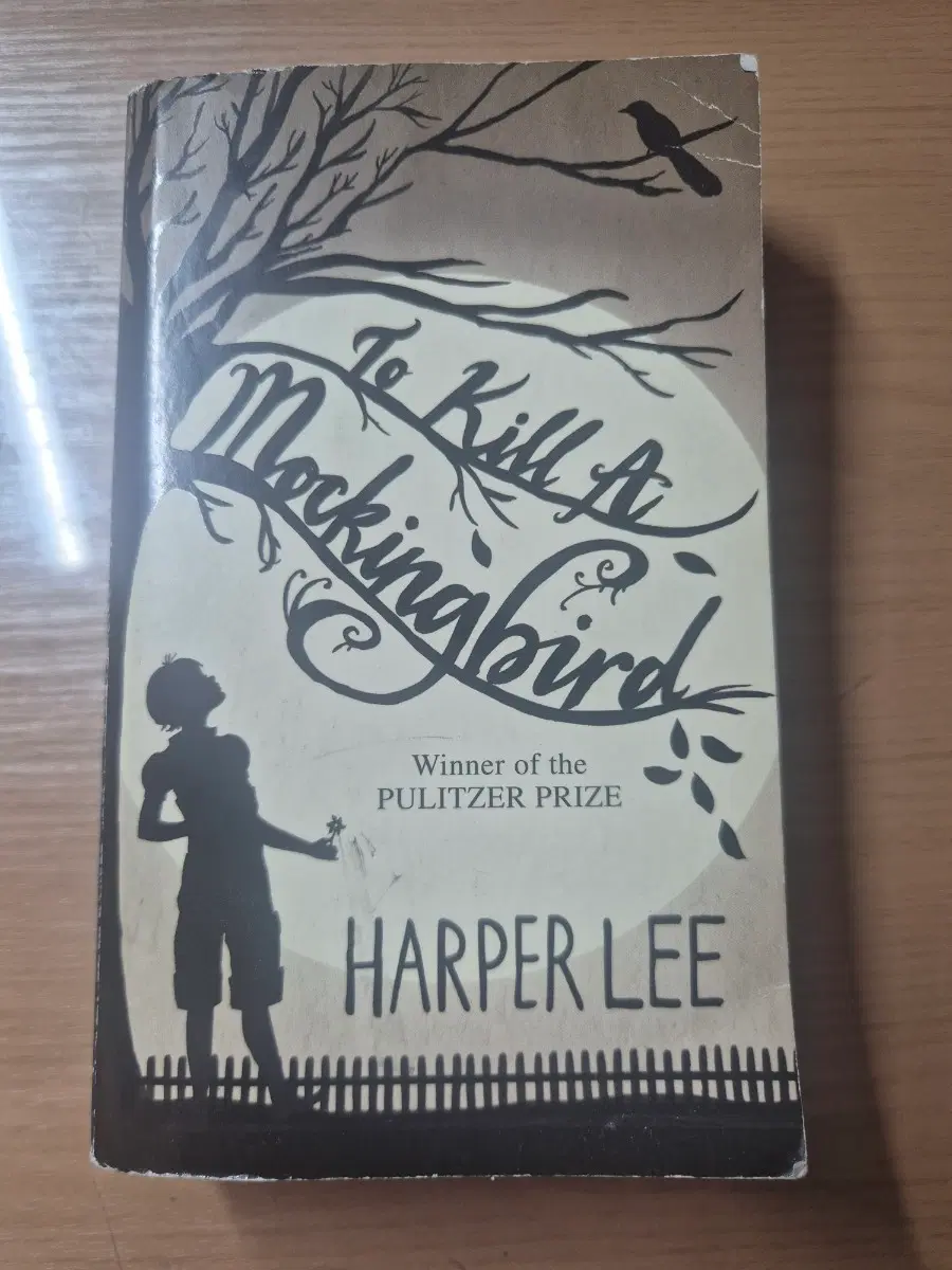 to kill a mockingbird ์์