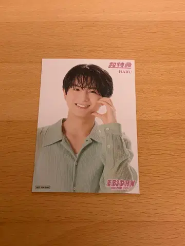 EBiDAN museum 2026 초특급 하루 입장 혜택