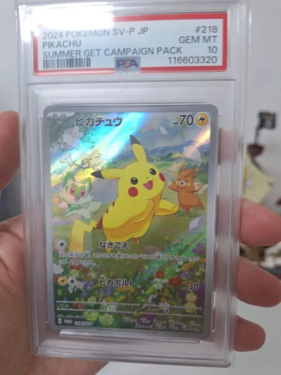 2024 포켓몬스터 여름 피카츄 썸머 캠페인 psa10