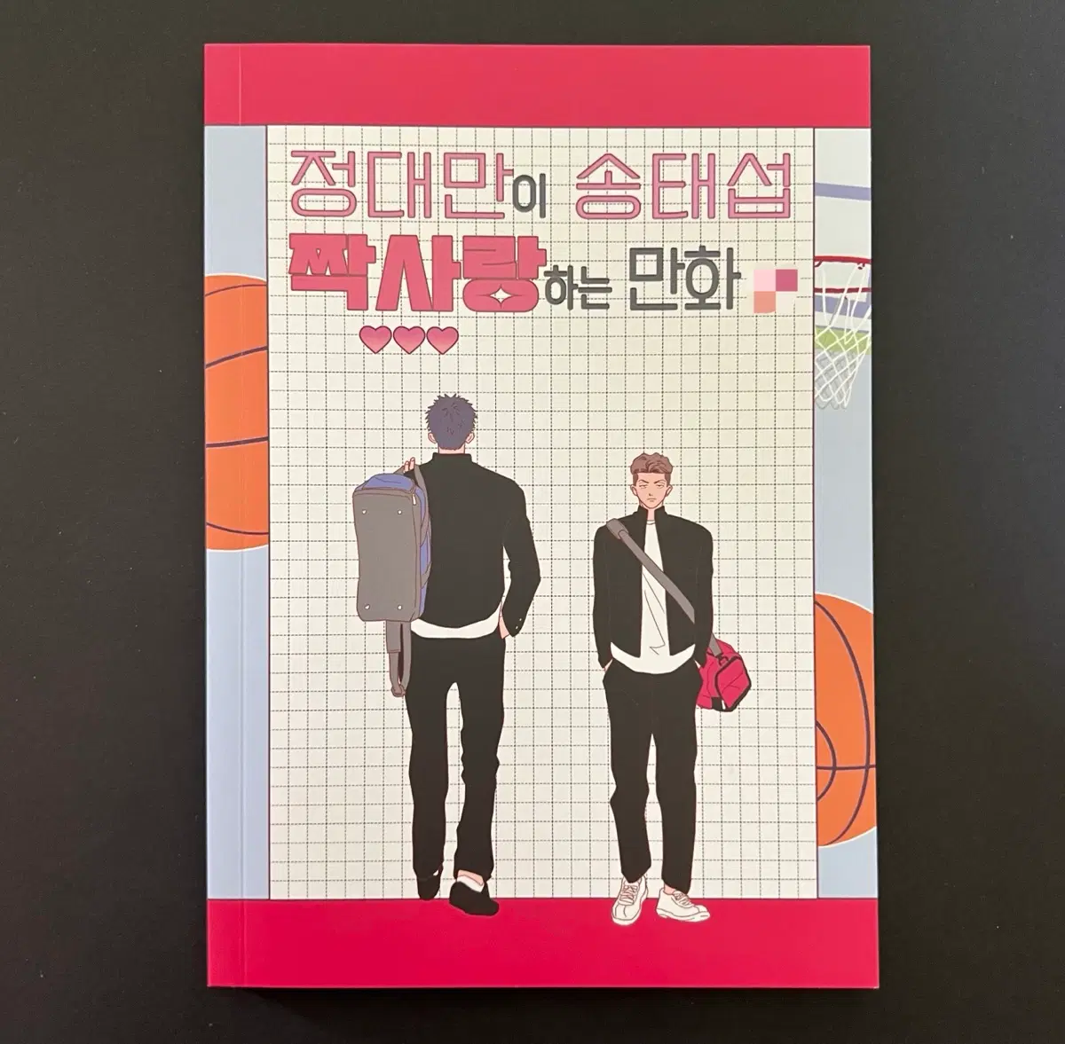 슬램덩크 슬덩 농팔이님 대만 태섭 대태 태섭른 동인지 회지 팬북 굿즈