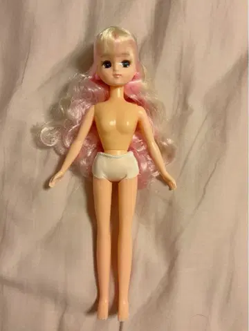 리카짱 본체