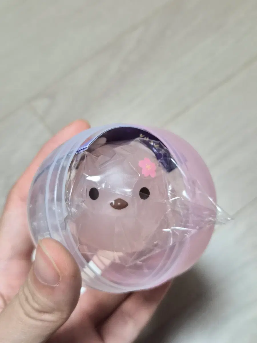 오목눈이 뱁새 야광 가챠 (사쿠라 벚꽃)