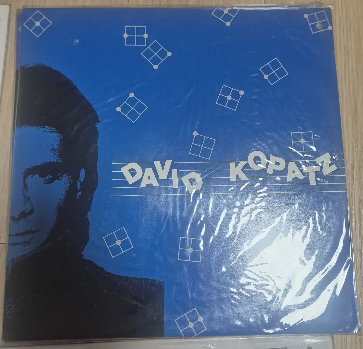 미개봉(비닐 안뜯음) David kopatz 의 <David kopatz> LP 판매합니다.