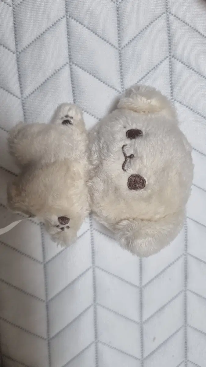 <급처> 콩쩬 엔시티 제노 10cm 인형
