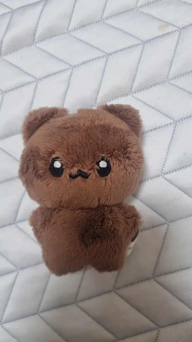 <급처> 푸딩찬 판매 엔시티 해찬