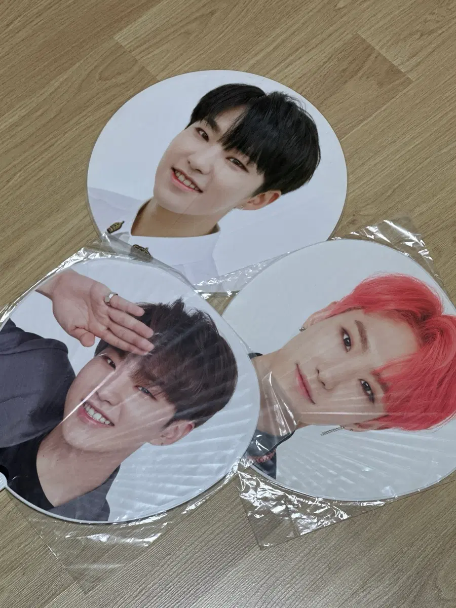 세븐틴 호시 우치와 양도