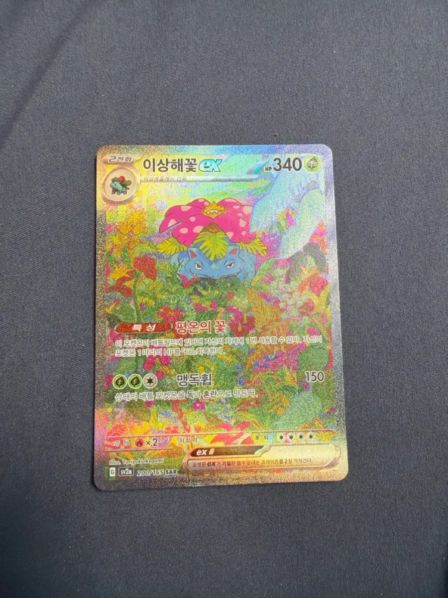 이상해꽃 ex sar