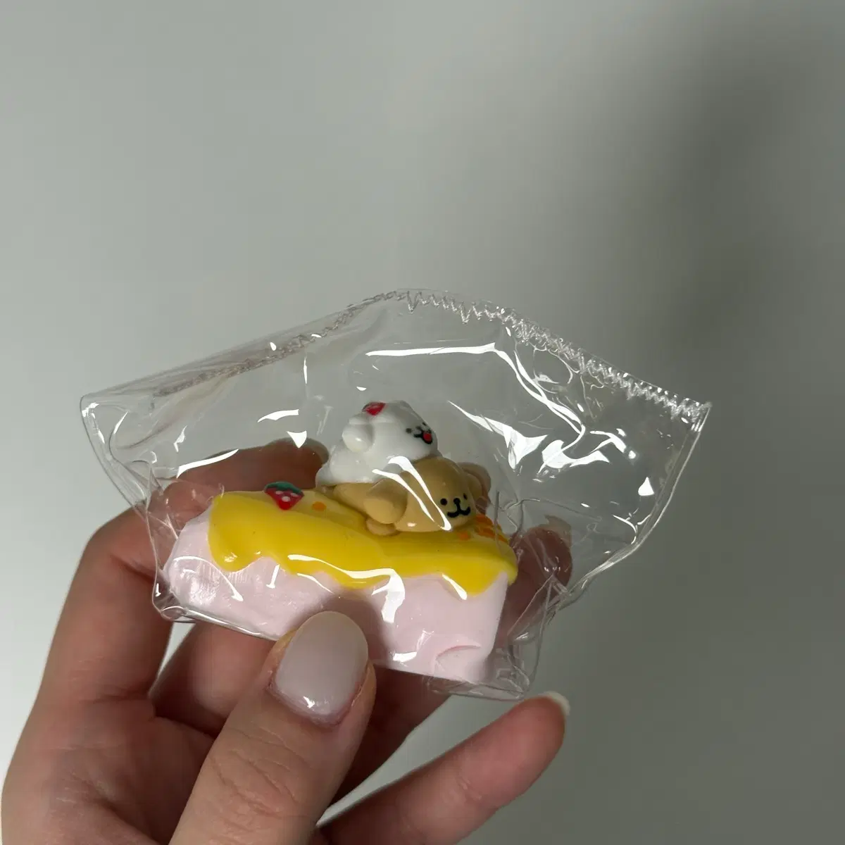 몰티즈 말랑이
