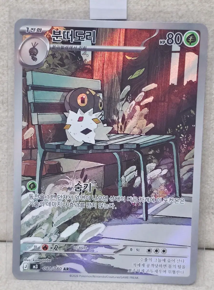 포켓몬카드 분떠도리ar