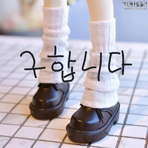 구함글) 구관 레그워머 구합니다