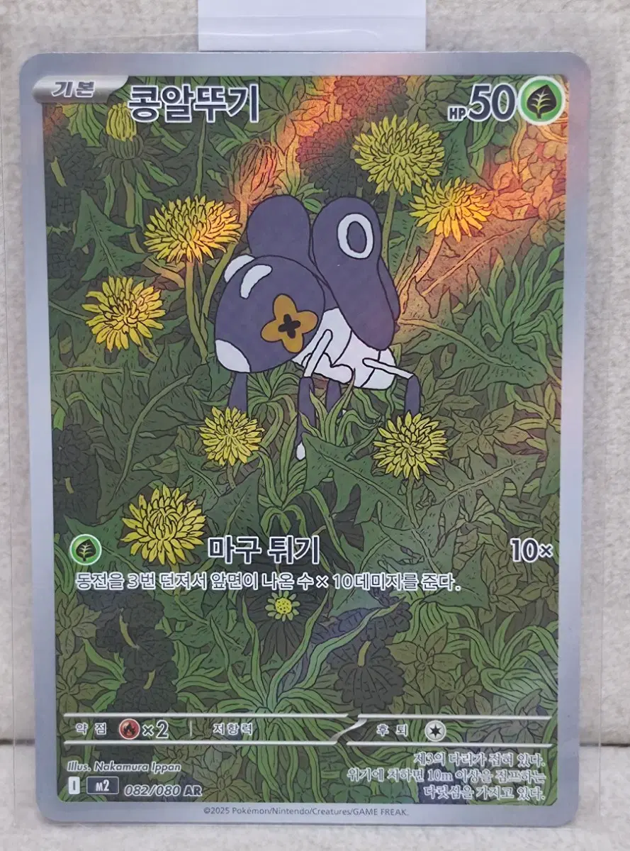 포켓몬카드 콩알뚜기ar